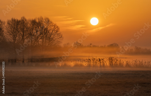 wschód słońca ze spektakularnymi mgłami pośród traw