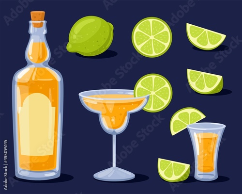 Tequila bottle, shot, glass with tequila and lime. Mexican traditional alcoholic drink. Vector illustration in cartoon style. Lime whole, slice, cut