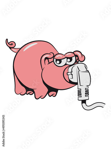 Schwein Ferkel sau 