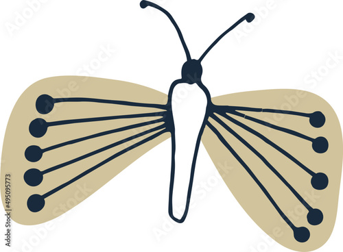 Butterfly Cartoon Illustration