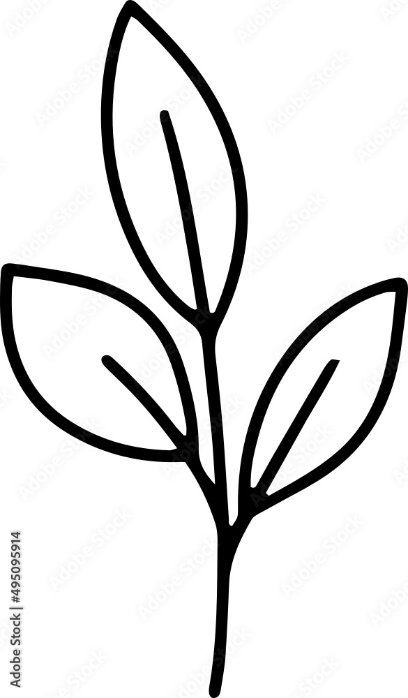 botanical; botany; collection; cute; decor; eucalyptus; fern; floral; flower; foliage; greenery; herb; herbal; illustration; leaf; spring, card, marriage, botanical; botany; collection; cute; decor; eucalyptus; fern; floral; flower; foliage; greenery; herb; herbal; illustration; leaf; spring, card, marriage,