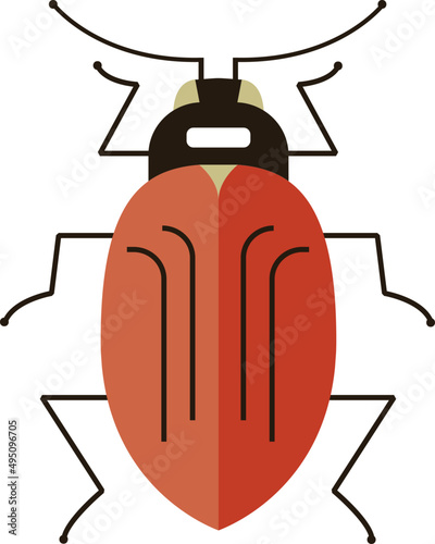 Beetle Colored Illustration