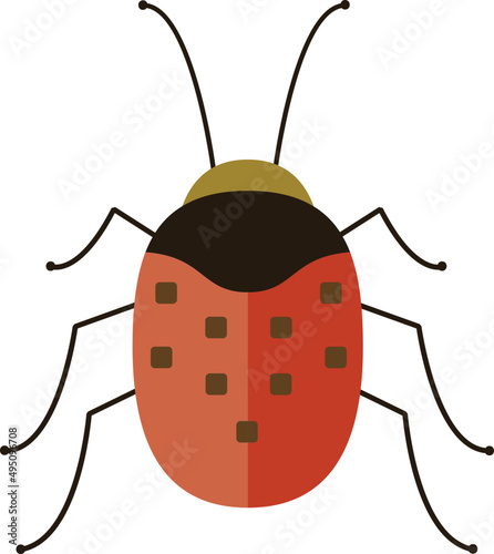 Beetle Colored Illustration