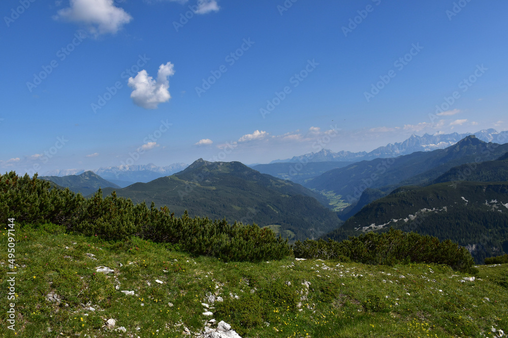 alpine meadow in the mountains alpine meadow in the mountains