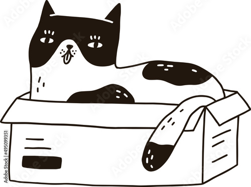 Cute Funny Cat Lying in Box Contour Monochrome Illustration