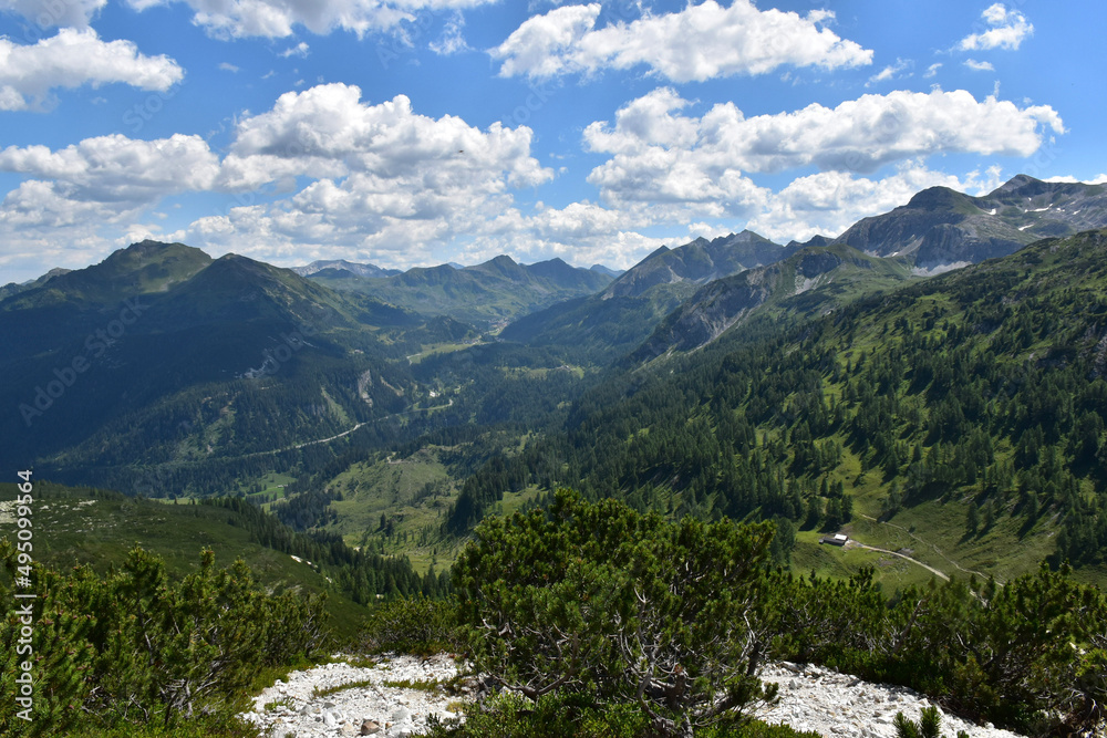 landscape in the mountains