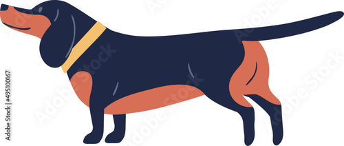 Dachshund Dog Cartoon Illustration