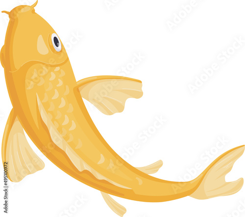 Japanese Koi Gold Carp Fish Cartoon Illustration