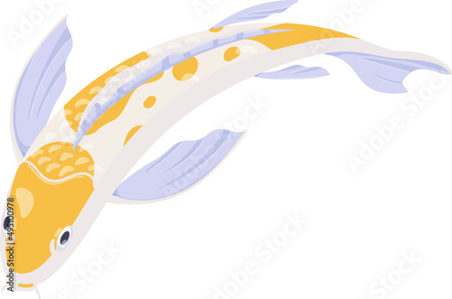 Koi Carp Fish Cartoon Illustration