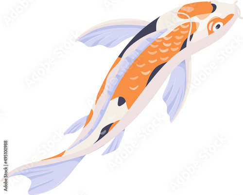 Asian Koi Carp Fish Swim Cartoon Illustration