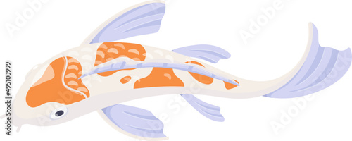Japanese Koi Carp Swimming Cartoon Illustration
