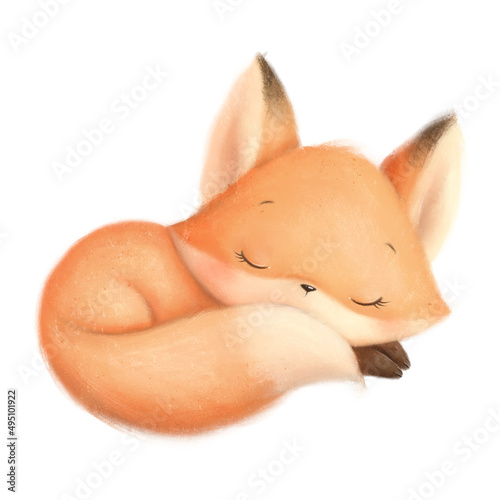 Illustration of a cute cartoon little fox sleeping. Cute animals.