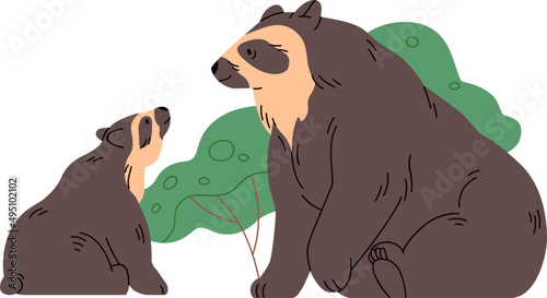 Spectacled Bear Cartoon Illustration