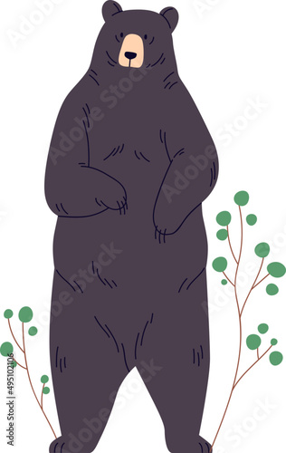 Black Bear Cartoon Illustration