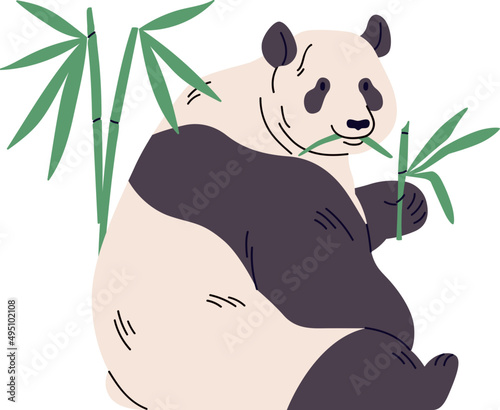 Panda Bear Cartoon Illustration