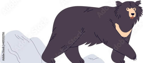 Sloth Bear Cartoon Illustration