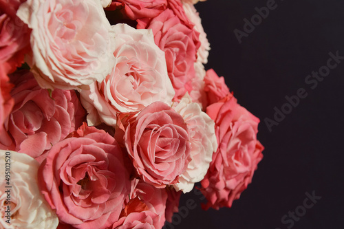 background for the design of holidays  valentine s day  birthday  March 8. a bouquet of flowers. beautiful pink roses.