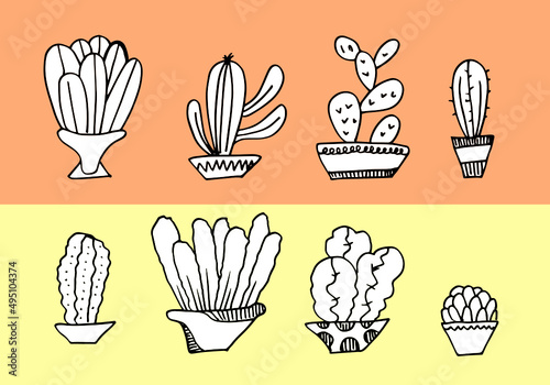 Cactus and succulents vector set. Hand drawn cacti illustration. © tedi