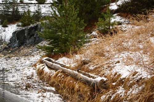 wooden water trough for cattle in the snow