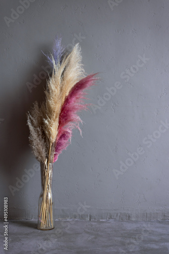 A bottle vase with cortaderia selloana dried flowers bouquet. Minimalistic interior.  photo