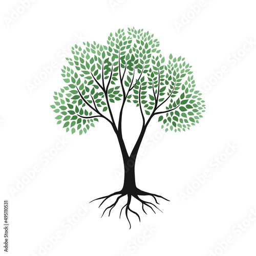 Tree with roots. Plant silhouette with leaves, branches and rhizome. Environment or ecology. Botanical element. Green foliage. Strength trunk. Genealogy and origins. Vector nature logo