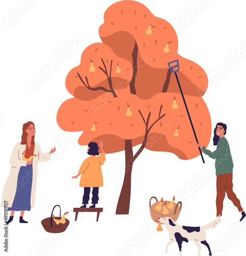 People Picking Harvest from Fruit Tree Cartoon Illustration