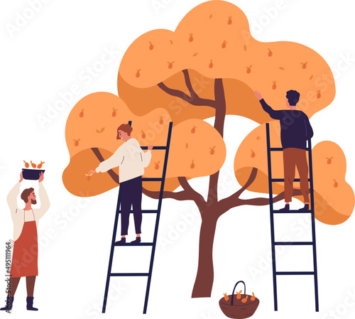 People Picking Fruit Harvest Cartoon Illustration