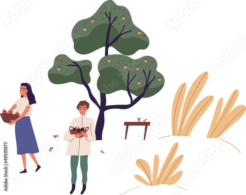 Happy People Picking Fruit Harvest Cartoon Illustration