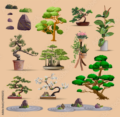 Set of bonsai Japanese trees grown in containers. Beautiful realistic tree, garden stone, plant. Bonsai tree on the box. Decorative little tree vector illustration. Nature art