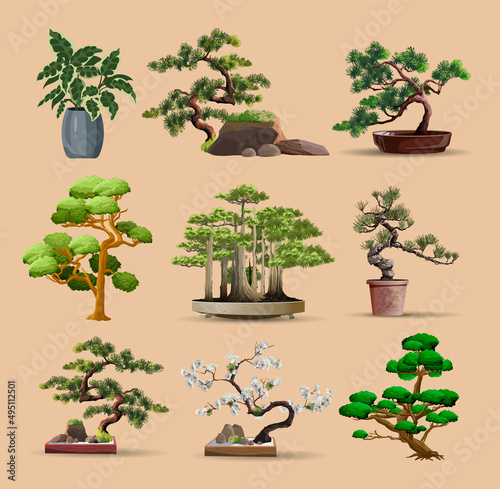 Set of bonsai Japanese trees grown in containers. Beautiful realistic tree. Tree in bonsai style. Bonsai tree on the red box. Decorative little tree vector illustration. Nature art
