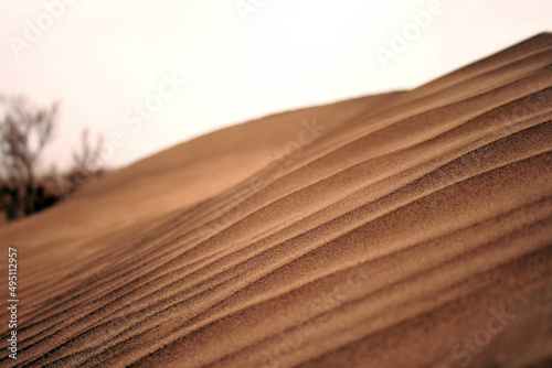 Sand dunes in the desert