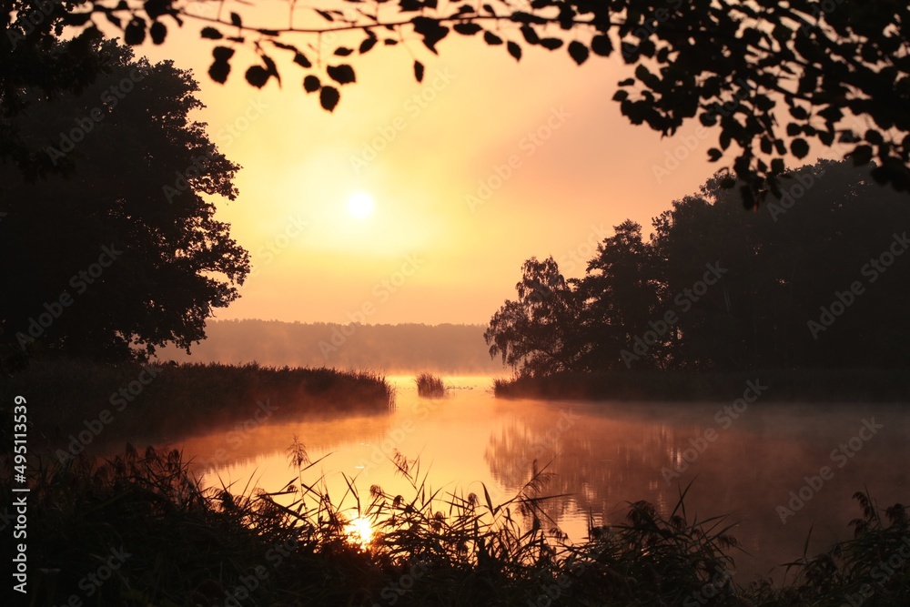 A pond surrounded by a forest at dawn