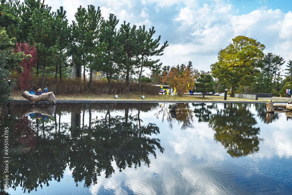Fototapeta premium lake in the park