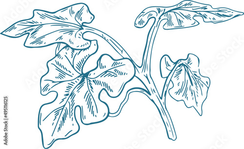 Branch with Leaves Monochrome Hand Drawn Illustration