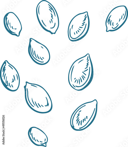 Seeds Monochrome Hand Drawn Illustration