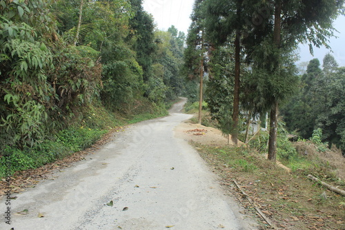 Empty mountain road or street display with nature around.