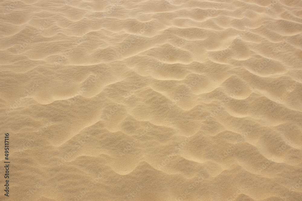 Beige sand textured background. Wavy pattern from the wind. Top view - obrazy, fototapety, plakaty 