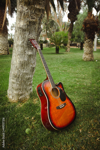 A guitar in a park