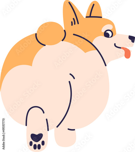 Back View of Funny Corgi Cartoon Illustration