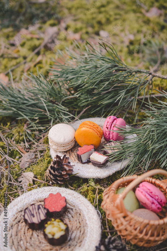 Colorful and sweet macaroon cookies , vintage cup and decorations in the forest