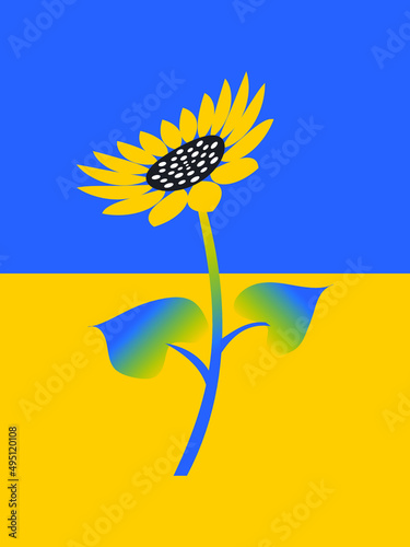Sunflower on the background of the national flag of Ukraine. Vector.