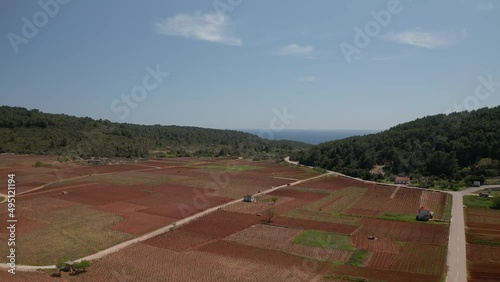 Aerial shot of the village Cara vineyard of Korcula island in spring time photo