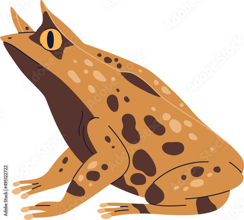 Wild Frog Amphibian Realistic Colored Illustration
