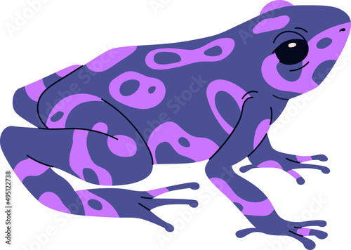 Exotic Frog Realistic Colored Illustration