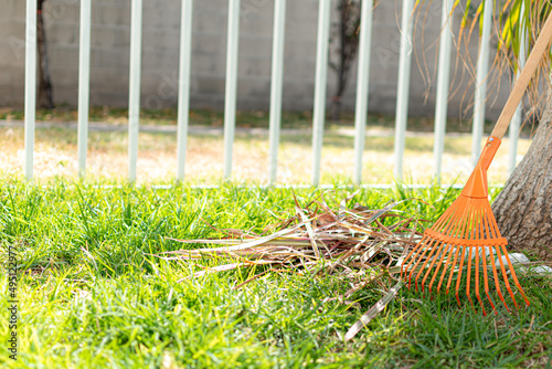 Accumulated leaves in the garden. Gardening concept.
