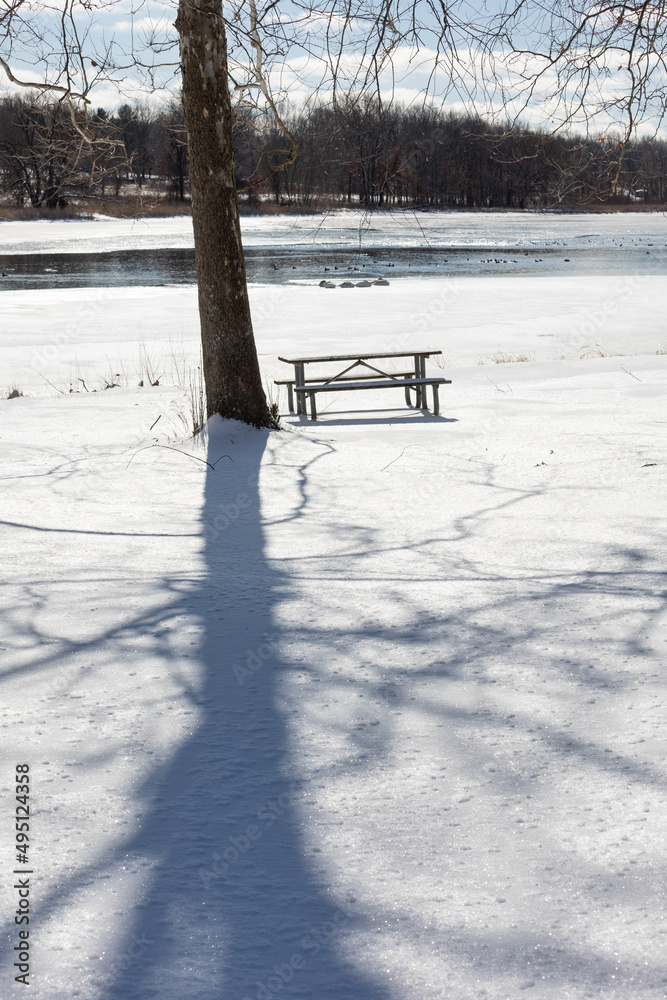 Park bench covered in fresh snow under a tree