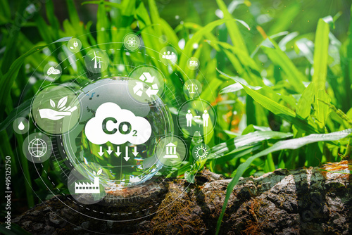 Developing sustainable CO2 concepts and renewable energy businesses, reducing CO2 emissions in an environmentally friendly way using renewable energy.  photo