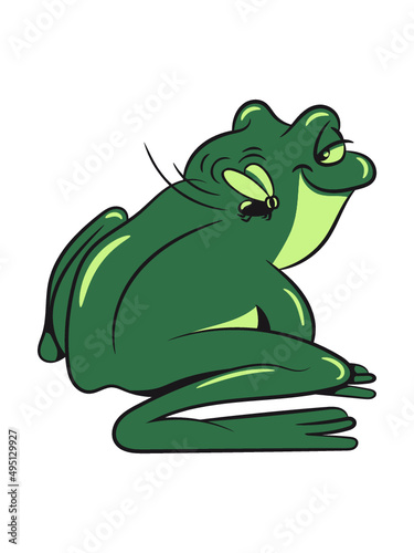 Frosch Wasser Teich 