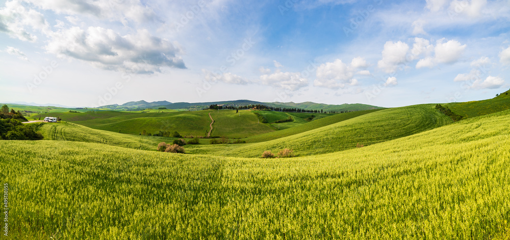 Unique green landscape in Volterra Valley, Tuscany, Italy. Scenic dramatic sky and sunset light over cultivated hill range and cereal crop fields. Toscana, Italia. Unique green landscape in Volterra Valley, Tuscany, Italy. Scenic dramatic sky and sunset light over cultivated hill range and cereal crop fields. Toscana, Italia.