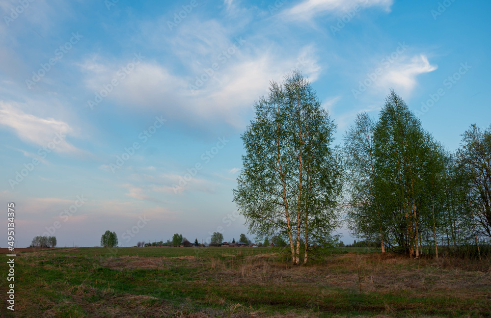 Obraz premium landscape with trees